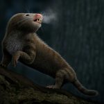 Tritylodon, un théropside, reconstitué comme un animal nocturne à sang chaud. Notez la vapeur qui sort de ses poumons. Illustré par Luzia Soares